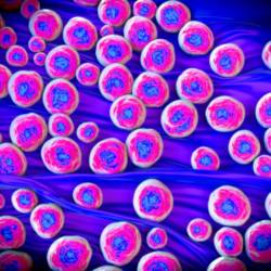 MDR Antibiotic Resistant Superbug